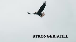 Pray USA, 4/17/23 Stronger Still