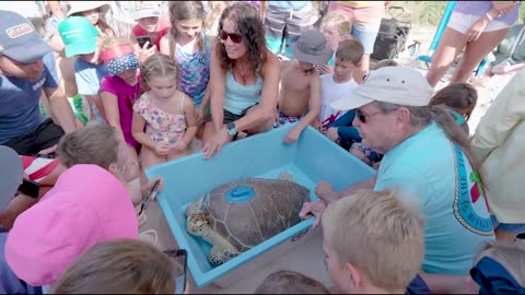 Tour de Turtles takes over Florida Keys