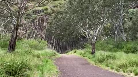 Organ Pipes National Park