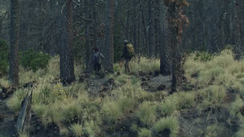 Young people walking through a forest