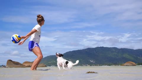 Woman Throwing Ball to Puppy Dog in Sea at Beach