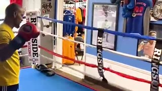 Instant Regret Bully enters Boxing ring
