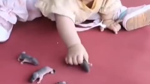 Cute baby and rat 🐁🐁 and cat