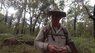 Bibbulmun Track part 27 Grimwade Shelter to Balingup