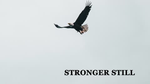 Pray USA, 2/18/23 Stronger Still