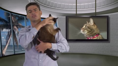 A new form of cat-to-human communication that many cat owners have dreamed about
