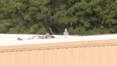Trump shooter seen dead on roof following assassination attempt