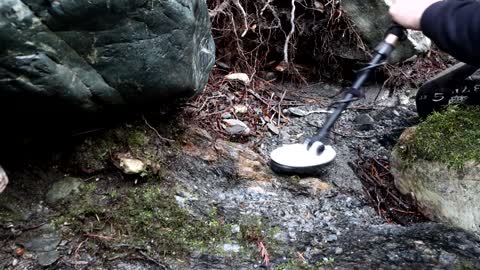 Metal detecting for Gold nuggets