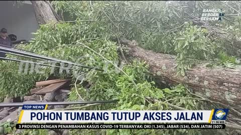 Akses Jalan Antar Kabupaten Blitar dan Kediri Tertutup Akibat Pohon Tumbang