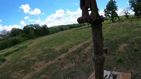 Mushroom and Asparagus Hunting