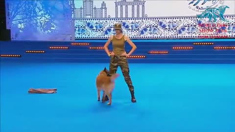 FCI Dog dance World Championship 2016 – Freestyle final - Lusy Imbergerova and Deril (Italy)