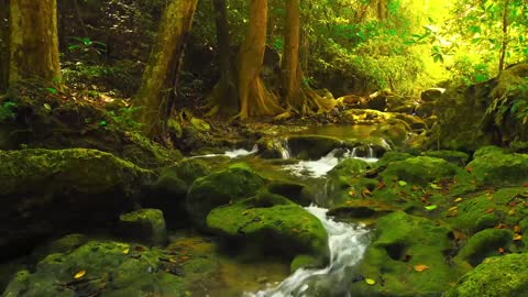 Música Relaxante: ESTUDAR, Ler e Meditar - Concentração