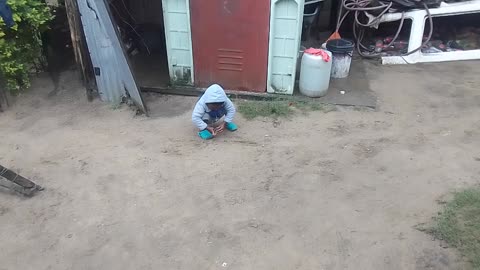 Toddler Playing Alone