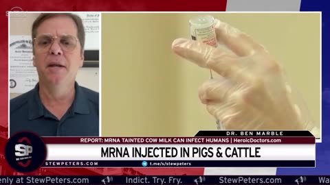 Globalists Want Livestock mRNA VAXXED SHOCK REPORT Vaxxed Cows Produce POISONOUS mRNA Milk