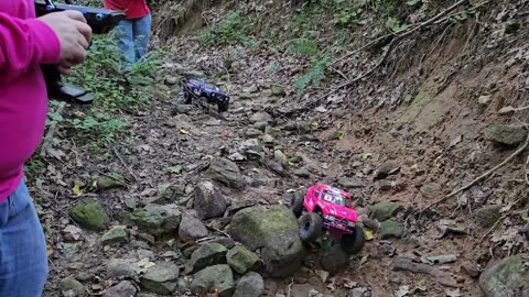 Creek Crawling with Connie and Rollie