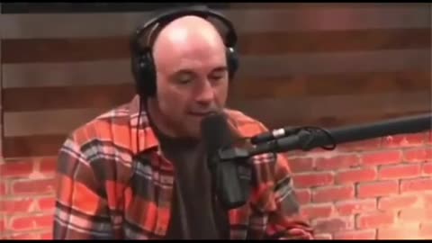 Rogan about Seth Rich