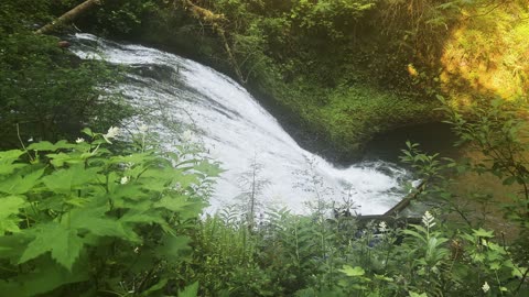 Hiking Exploring Lower North Waterfall! | Trail of Ten Falls | Silver Falls State Park | Oregon | 4K