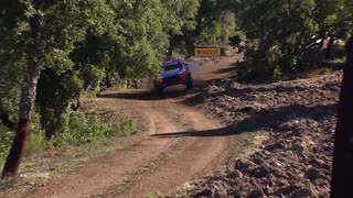 The Best of WRC Rally 2020 | Crashes, Action, Maximum Attack