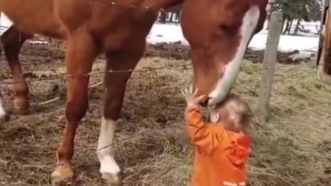 Little kids playing horse