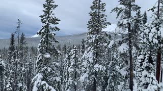 Ascending Vista Butte – Central Oregon – Vista Butte Sno-Park – 4K