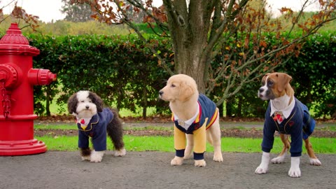 Pup Academy | Meet The Pups (Full Scene)