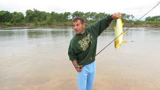 Alligator Chases Fish