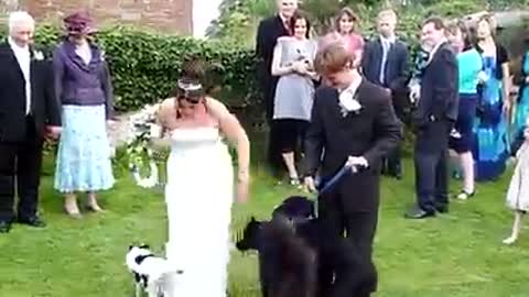 Best wedding falls