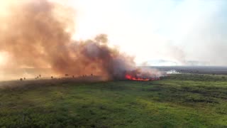 Unprecedented wildfires ravage Brazil's wetlands