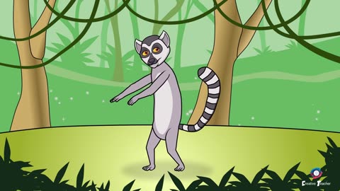Lemur Dance