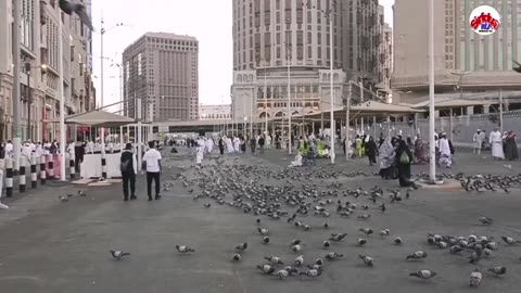 Makkah and Madinah pak | Al Haram Sharif