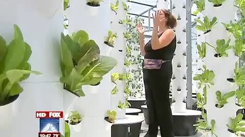 Future Growing Tower GardenⓇ® Farm di The GreenHouse, Florida Tengah