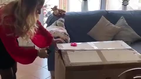 The Happiest Family Surprise