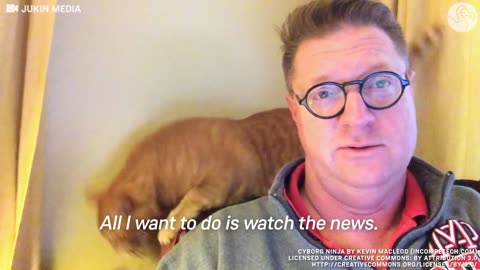 Cat And Dog Fight Behind Their Dad While He Calmly Watches The News