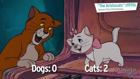 Cats Vs Dogs: What Makes a Better Pet?