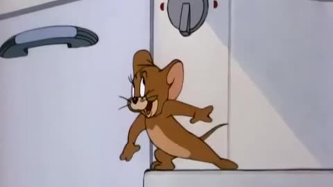Best cartoon funny cartoons Tom and Jerry 🤣🤣😺