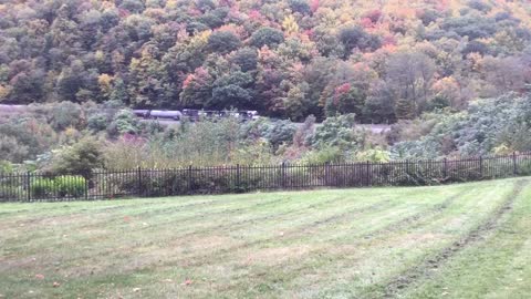 Horseshoe Curve Revisited