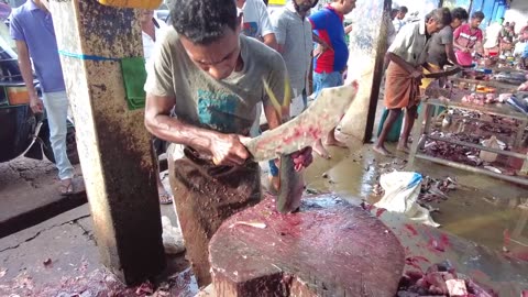 Amazing Tuna Cutting Skill By Mr.Amith