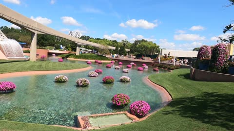 Sparkling Clear Water with Floating Flowers at Epcot's Flower and Garden Festival