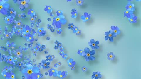 Blue Spring Flower Background Video Animation 2023