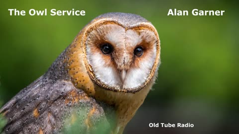 The Owl Service by Alan Garner. BBC RADIO DRAMA