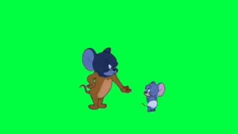 Tom and Jerry Cartoon