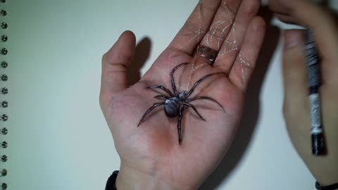 A Cool Drawing Of A Hyper-Realistic Spider On My Hand