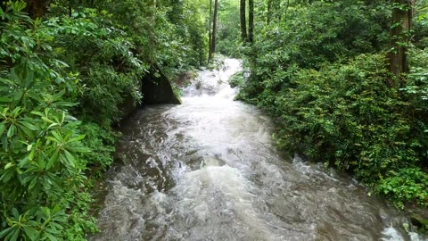 Deep Creek in Bryson City, North Carolina