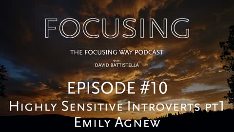 TFW-010: Highly Sensitive Introverts
