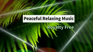 Relaxing Music | Sleeping, Meditation, Stress Relief | [7805] ⭐️