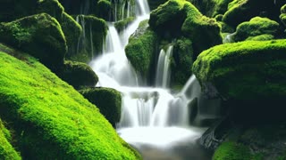 Relaxing Piano Music with Soothing Water Sounds