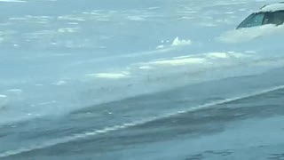 Car Stuck in Deep Snow after Blizzard