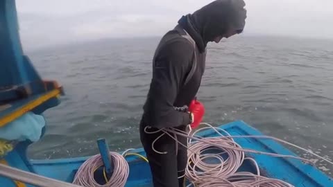 Thai diving team, fishing conch octopus on the seabed