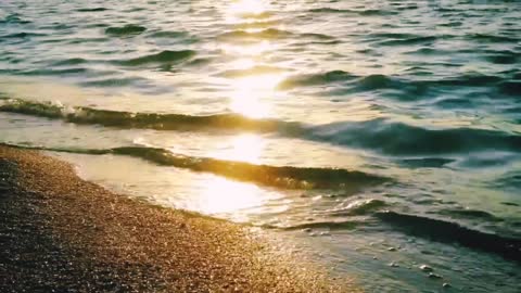 Beach wave video background | Beach view | Beautiful view of the beach sunset