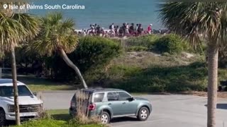 South Carolina - Multiple people shot on the beach as crowds of beach goers run for their lives